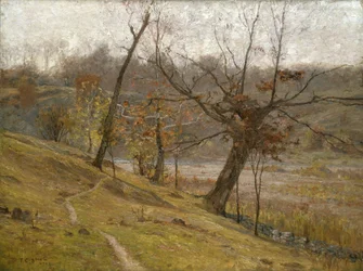 El florecer de la uva